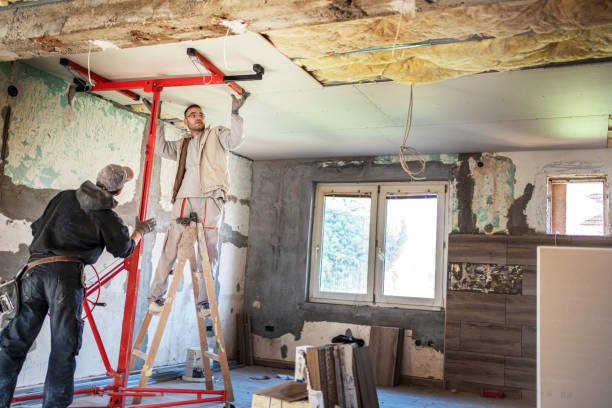 Best Insulation Materials and Products in Afton, WY