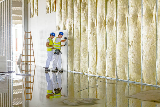Best Types of Insulation in Afton, WY